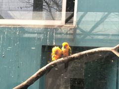 -无锡动物园·太湖欢乐园