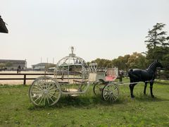 -松声马术俱乐部