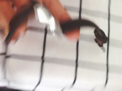 -新世界百货(明洞总店)