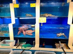 水产区-鹰龙海畔度假酒店(咸祥店)