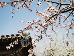 -三里河公园