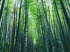 -鸡枕山