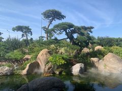 -罗红摄影艺术馆