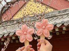 -桃花堤公园
