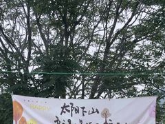 -蘇河湾·新鲁菜·泰山宴(泰山店)