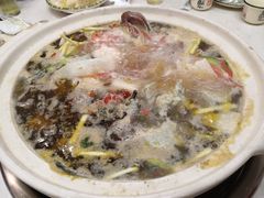 石斑鱼-黑河坝泡姜鸡贡椒鱼(贾旗路店)