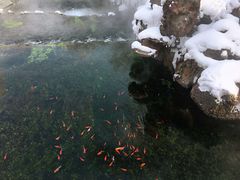 -水磨沟公园