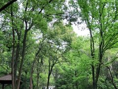 -青龙山国家森林公园