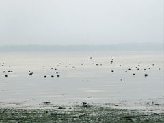 -阳澄湖半岛旅游度假区