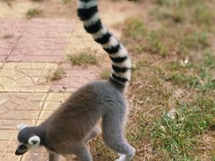 -石家庄市动物园