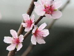 -大埔公路-马料水段香港中文大学(公交站)