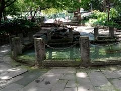 -成都市活水公园