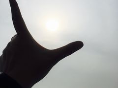 -仙游岛公园