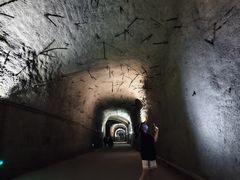 -816工程景区