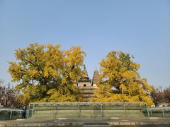 -北京石刻艺术博物馆(五塔寺)