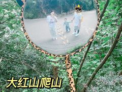 -红山森林动物园