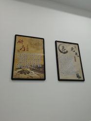 -DEM缔怡美科技美容