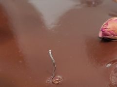 -Awfully Chocolate(来福士广场店)