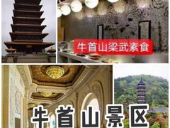 -牛首山文化旅游区