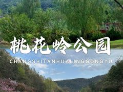 -桃花岭景区