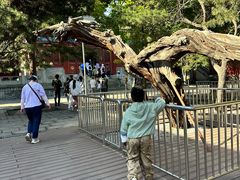 -大钟寺古钟博物馆