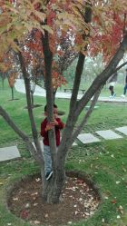 -大望京儿童游乐场