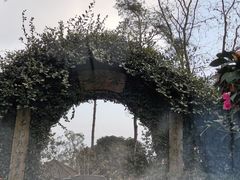 -南山植物园