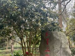 -雅安上里古镇