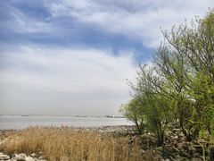 -上海吴淞炮台湾国家湿地公园
