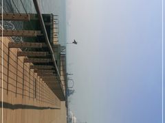 -东疆建设开发纪念公园