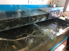 -大鹅岛灶台鱼·铁锅炖(水库路店)