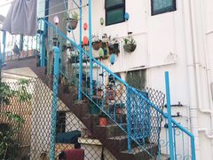 -南丫岛