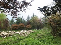 -西安祥峪森林公园