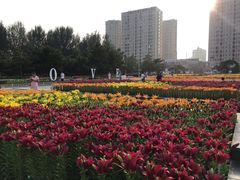 -长春公园(普阳街道)