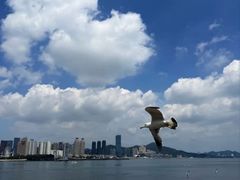 -黑石礁公园