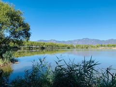 -野鸭湖国家湿地公园