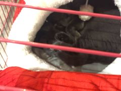 -第三空间·趣味桌游·轰趴.室内CS.剧本杀(大武汉1911店)