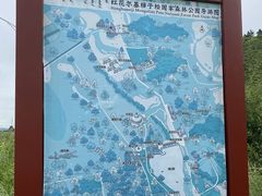 -红花尔基樟子松国家森林公园