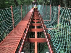 -藏龙百瀑风景区