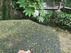 -绮园景区