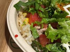 -油梨树 AVOCADO TREE(亮马桥店)