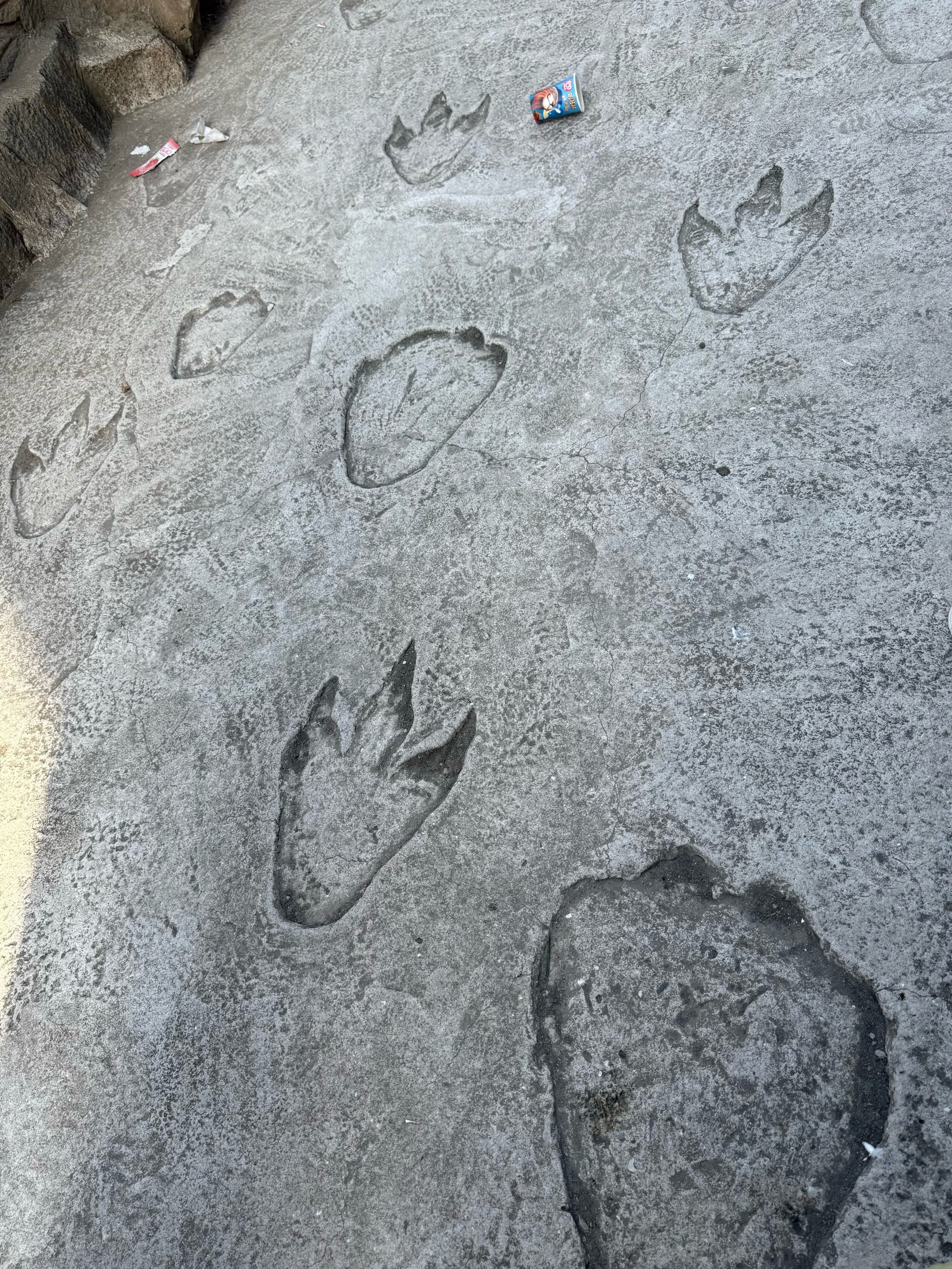 应该是上海最大的恐龙乐园了吧