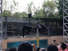 -清迈夜间动物园