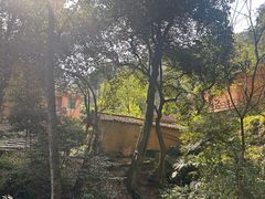 -杨家堂村