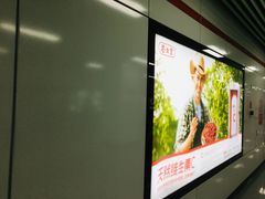 -紫庐(地铁站)