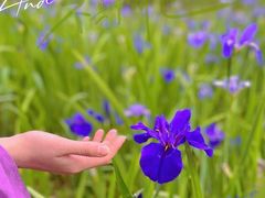 -白鹭湾湿地公园