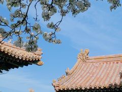 -故宫博物院(故宫)