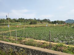 -光明小镇欢乐田园