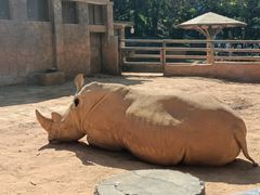 -昆明动物园