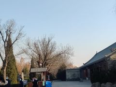 -大槐树寻根祭祖园